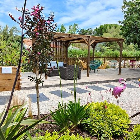 Aparthotel Logis Le Nid Du Pont De Gau Saintes-Maries-de-la-Mer Zewnętrze zdjęcie